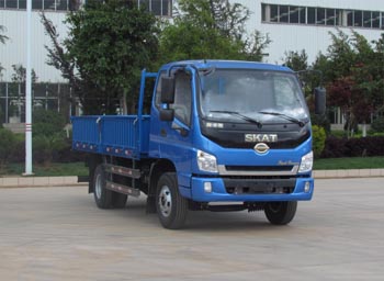 LFJ1085G1载货汽车燃油公告图片2