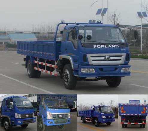 BJ3163DJPFG-1自卸汽车燃油公告图片2
