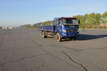 BJ1159VKPFG-2载货汽车燃油公告图片2