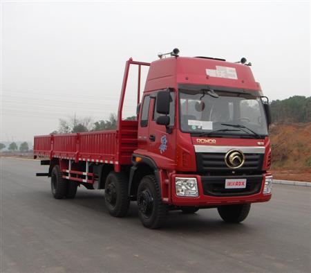 BJ1252VNPHE-F1载货汽车燃油公告图片2