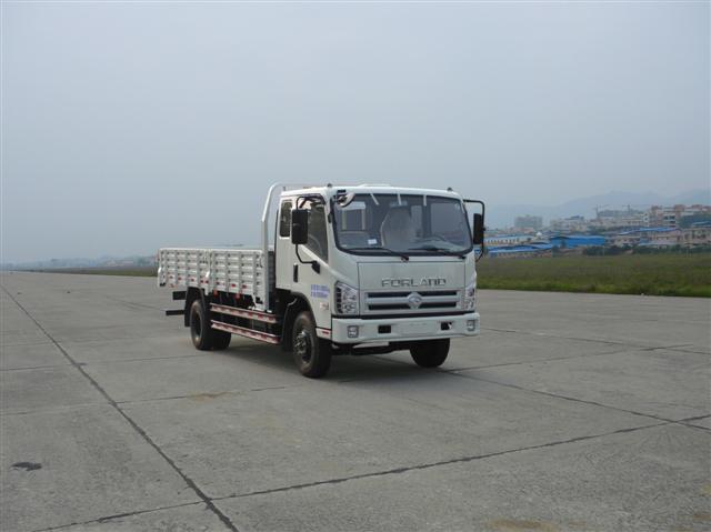 BJ1123VGPFG-A2载货汽车燃油公告图片2