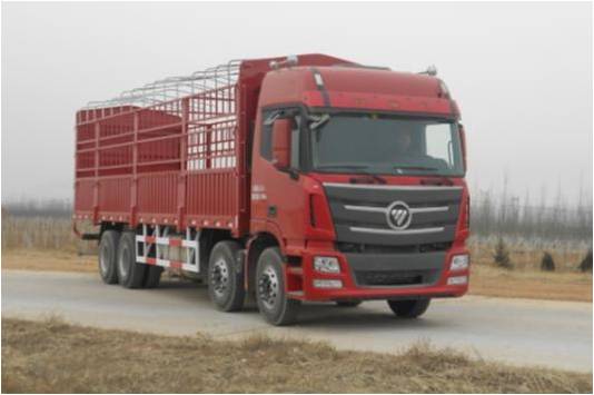 BJ5319CCY-XC仓栅式运输车燃油公告图片2