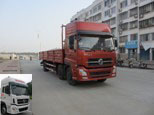 DFL1253AX1C载货汽车燃油公告图片2