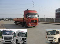 DFL1253AX1C载货汽车燃油公告图片2