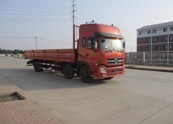 DFL1253AX1C载货汽车燃油公告图片2