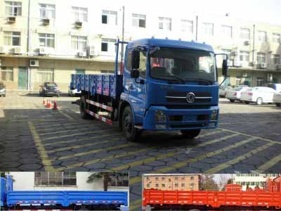 DFL1160BX5载货汽车燃油公告图片2