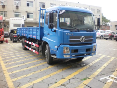 DFL1160BX5载货汽车燃油公告图片2