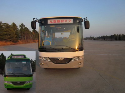 ZGT6560DS轻型客车燃油公告图片1