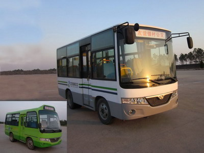 ZGT6560DS轻型客车燃油公告图片2