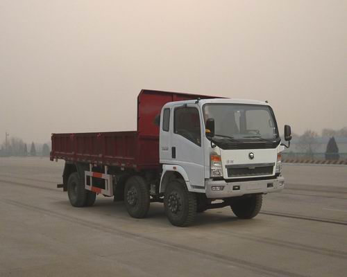 ZZ3207G38C5C1S自卸汽车燃油公告图片2