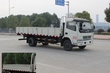 DFA1081S39DB载货汽车燃油公告图片2