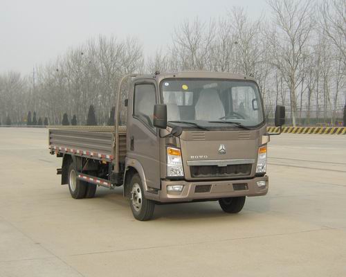 ZZ1047D3815D145载货汽车燃油公告图片2