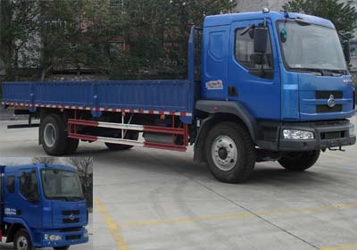 LZ1120RAP载货汽车燃油公告图片2