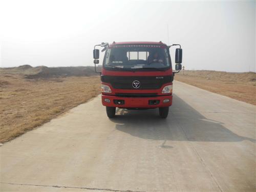BJ1159VKPEK-FB载货汽车燃油公告图片1