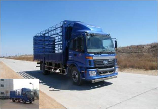 BJ5163VKCFG-1仓栅式运输车燃油公告图片2