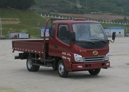 LFJ1047G1载货汽车燃油公告图片2