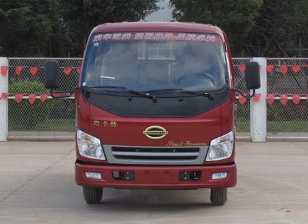 LFJ1047N1载货汽车燃油公告图片1