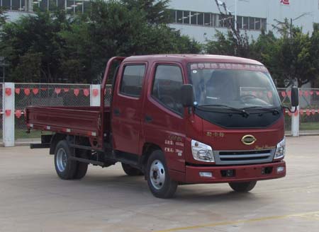 LFJ1047N1载货汽车燃油公告图片2