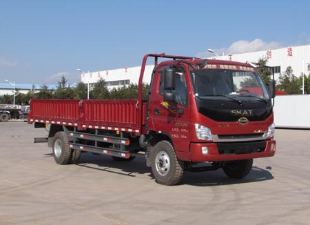 LFJ1090T1载货汽车燃油公告图片2