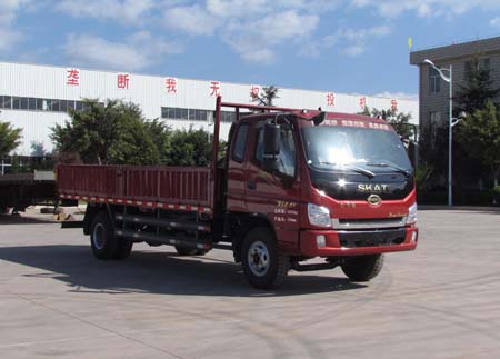 LFJ1090G1载货汽车燃油公告图片2