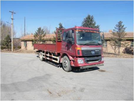 BJ1163VKPFG-7载货汽车燃油公告图片2