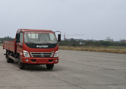 BJ1089VEJEA-BA载货汽车燃油公告图片2