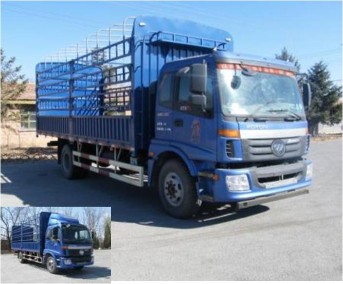 BJ5163CCY-17仓栅式运输车燃油公告图片2