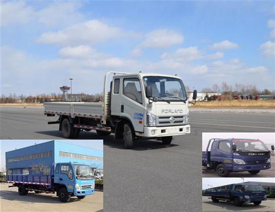 BJ1063VCPFA-1载货汽车燃油公告图片2