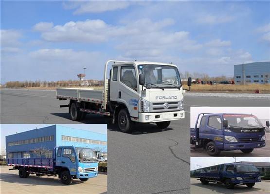 BJ1063VCPFA-1载货汽车燃油公告图片2