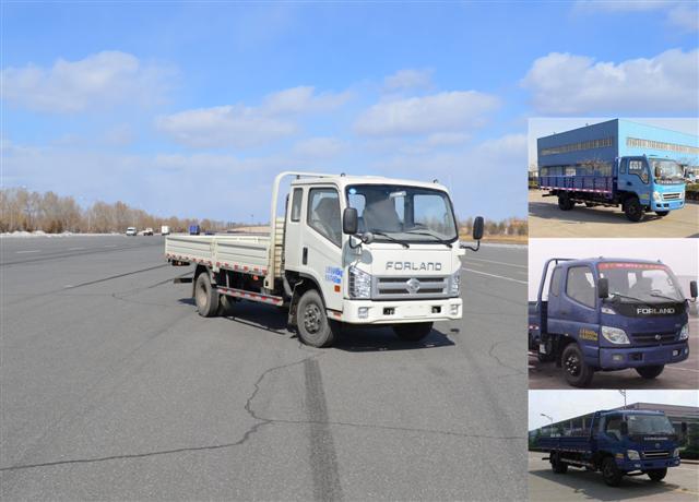 BJ1063VCPFA-1载货汽车燃油公告图片2