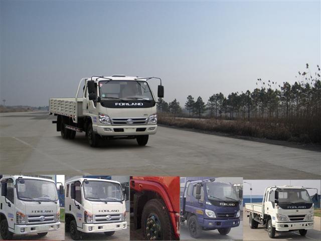 BJ1080VDPED-S载货汽车燃油公告图片2