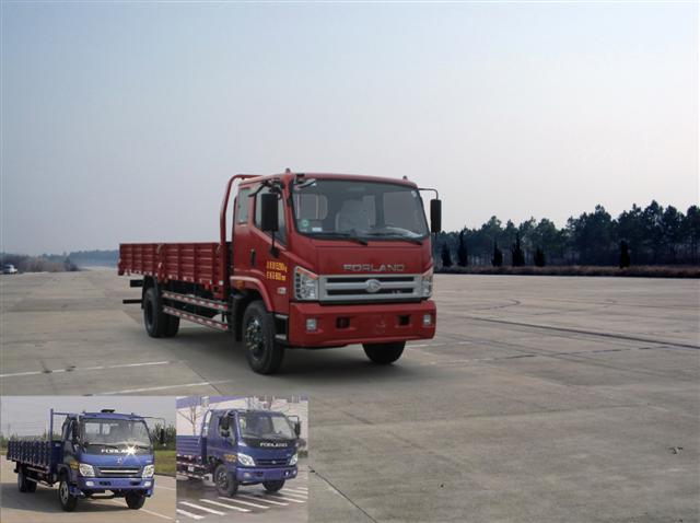 BJ1153VKPHK-A载货汽车燃油公告图片2