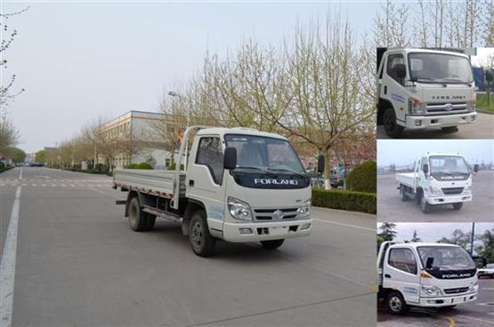 BJ1043V9JDA-A载货汽车燃油公告图片2