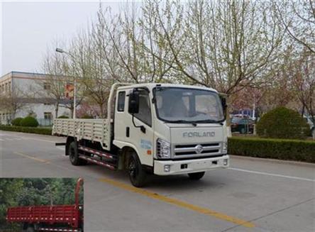 BJ1093VEPFG-A1载货汽车燃油公告图片2