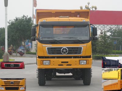 DYX3253WD42C自卸汽车燃油公告图片1