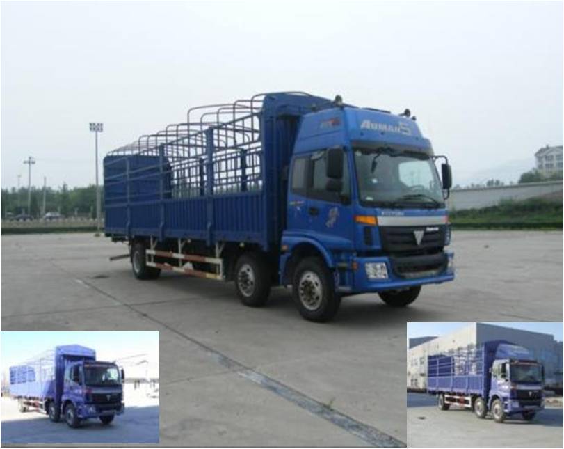 BJ5253VNCHP-1仓栅式运输车燃油公告图片2