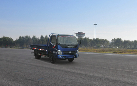 BJ1041V9JDA-BA载货汽车燃油公告图片2
