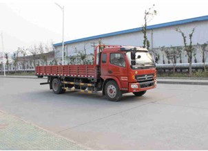 DFA1100L11D4载货汽车燃油公告图片2