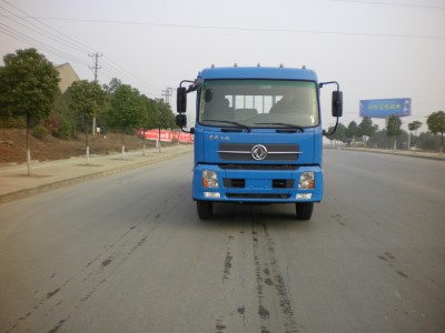 DFL1160BX5载货汽车燃油公告图片1