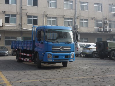 DFL1160BX5载货汽车燃油公告图片2