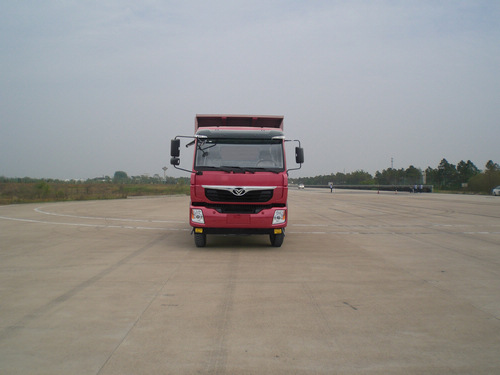 ZZ3168G10DB2自卸汽车燃油公告图片1