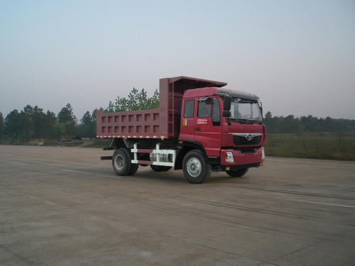 ZZ3168G10DB2自卸汽车燃油公告图片2