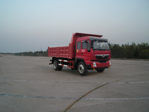 ZZ3128G10DB1自卸汽车燃油公告图片2