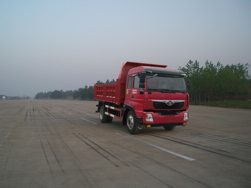ZZ3128G10DB1自卸汽车燃油公告图片2