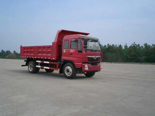ZZ3128G10DB1自卸汽车燃油公告图片2