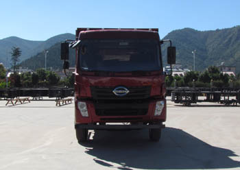 LFJ3068G3自卸汽车燃油公告图片1