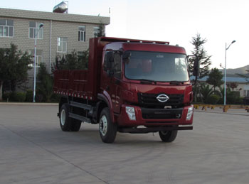 LFJ3120G3自卸汽车燃油公告图片2