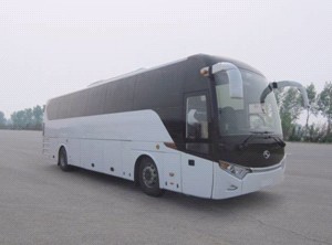 XMQ6125BYD4D1客车燃油公告图片2