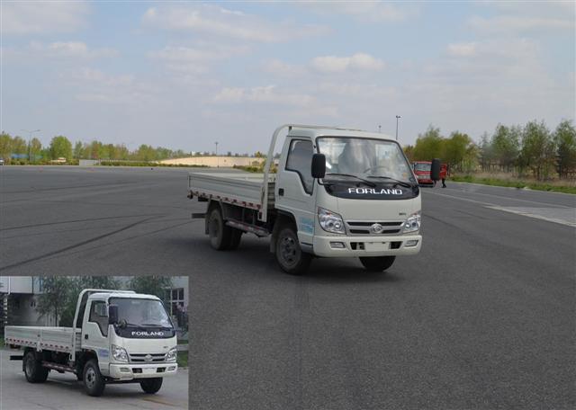 BJ1043V9JEA-A载货汽车燃油公告图片2