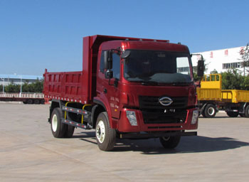 LFJ3160G7自卸汽车燃油公告图片2